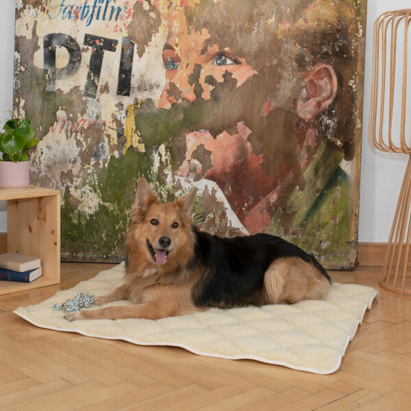 Hunde-Schurwoll-Steppdecke "Vellon" - 120x100 cm von allnatura